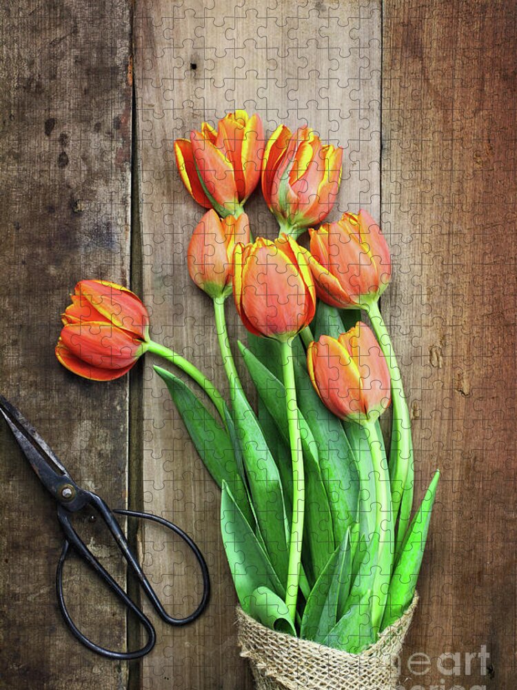 Tulips Jigsaw Puzzle featuring the photograph Antique Scissors and Bouguet of Tulips by Stephanie Frey