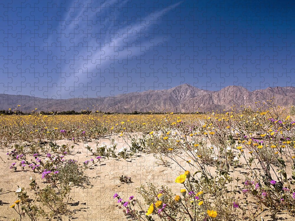 Anza Borrego Jigsaw Puzzle featuring the photograph Anza Borrego Wildflowers by Endre Balogh