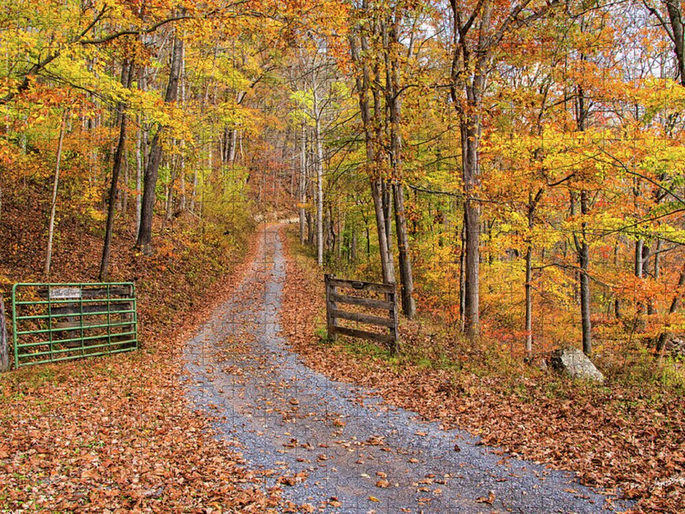 Fall Foliage Jigsaw Puzzle featuring the photograph Appalachian Autumn by Jurgen Lorenzen
