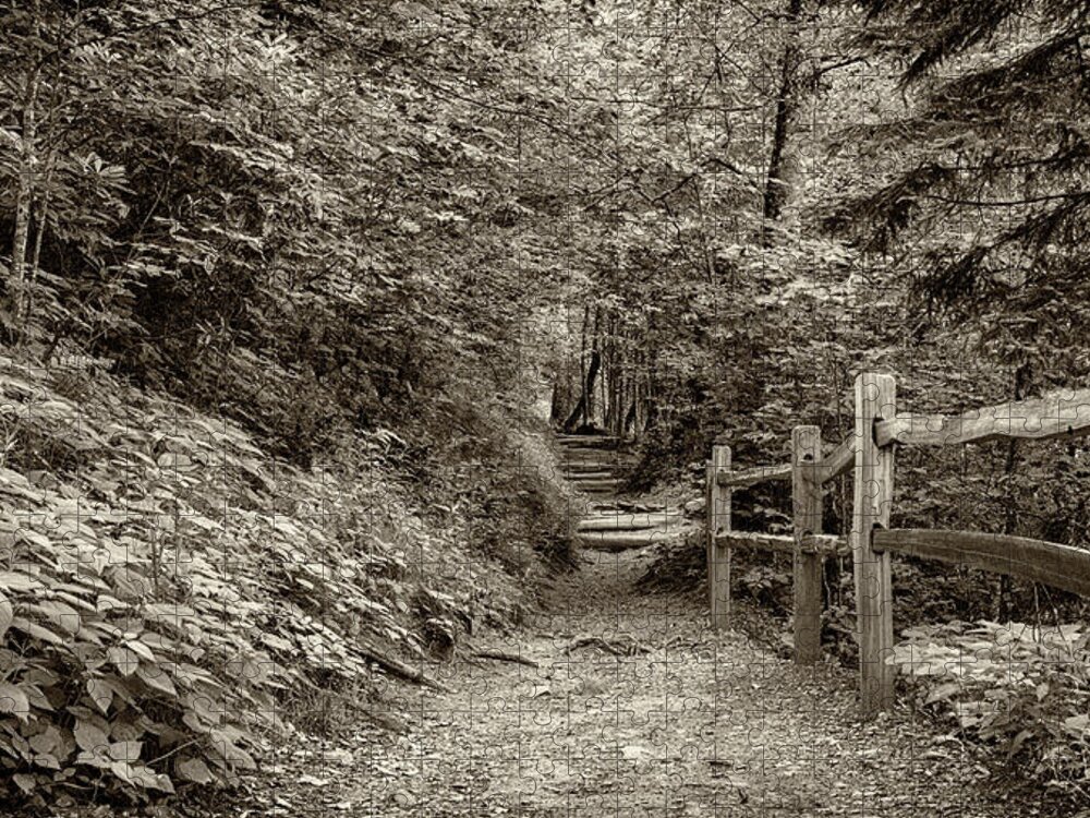Appalachian Trail Jigsaw Puzzle featuring the photograph Appalachian Trail at Newfound Gap - Sepia by Stephen Stookey