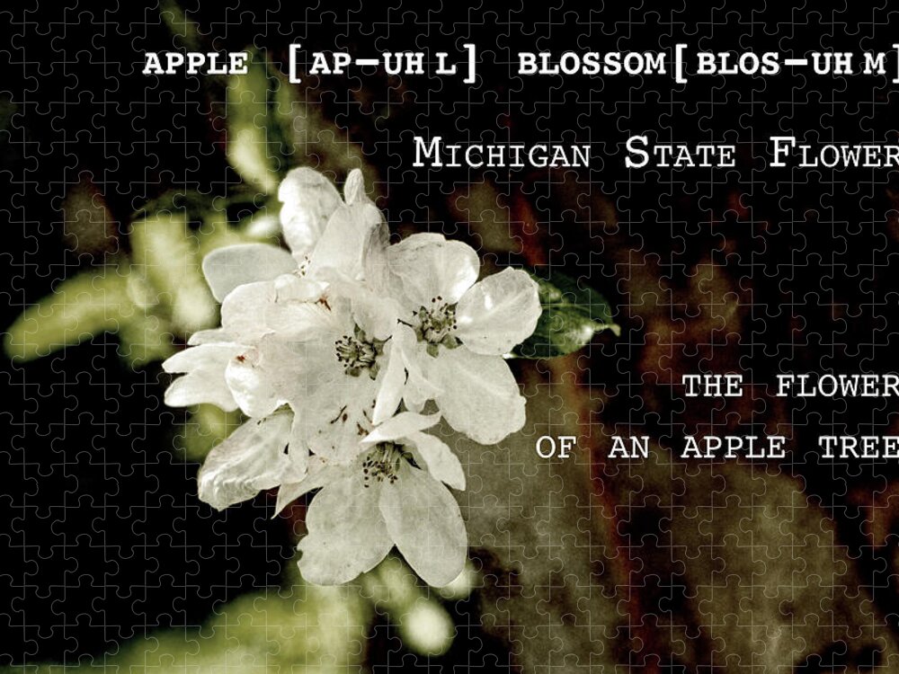 Apple Blossom Jigsaw Puzzle featuring the photograph Apple Blossom by Definition Michigan by Sharon Popek