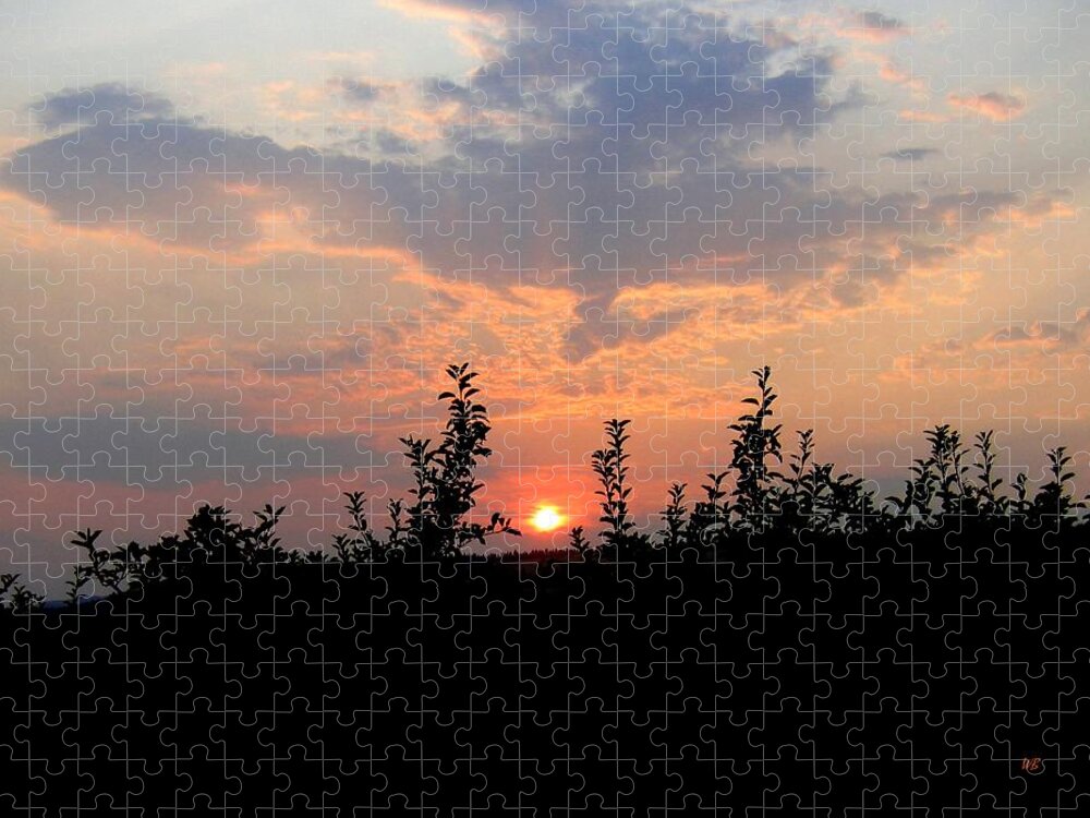 Sunset Jigsaw Puzzle featuring the photograph Apple Orchard Silhouette by Will Borden