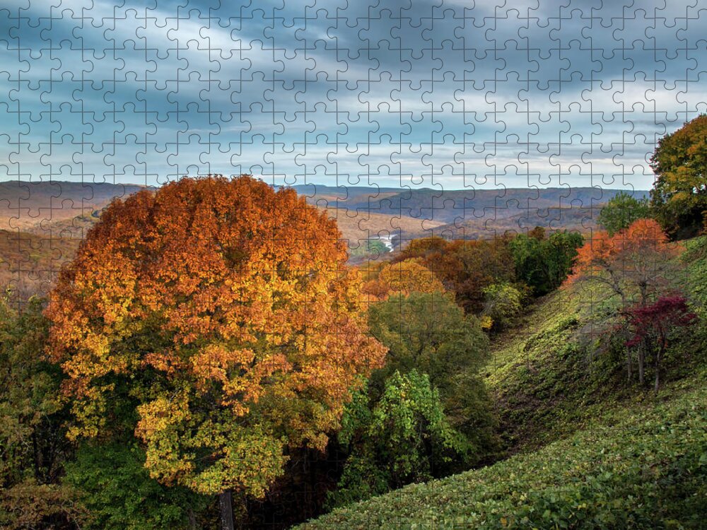Arkansas Jigsaw Puzzle featuring the photograph Artist Point 5x6 by James Barber