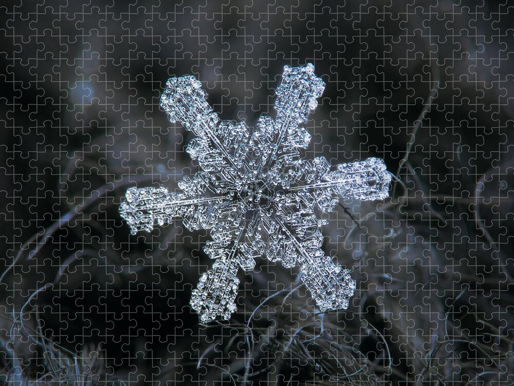 Snowflake Jigsaw Puzzle featuring the photograph December 18 2015 - snowflake 1 by Alexey Kljatov