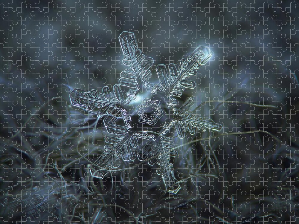 Snowflake Jigsaw Puzzle featuring the photograph The beauty of imperfection by Alexey Kljatov