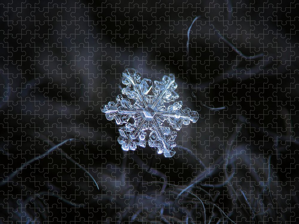 Snowflake Jigsaw Puzzle featuring the photograph Real snowflake - 2017-12-07 1 by Alexey Kljatov