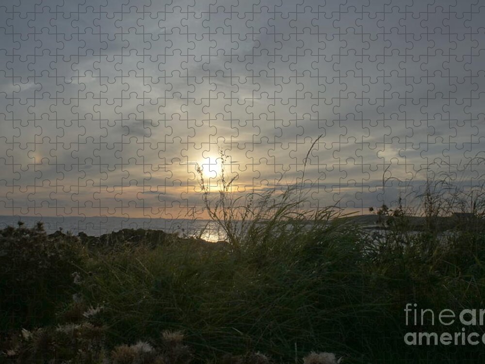 Setting Sun Jigsaw Puzzle featuring the photograph As grass under the sun by Elena Perelman