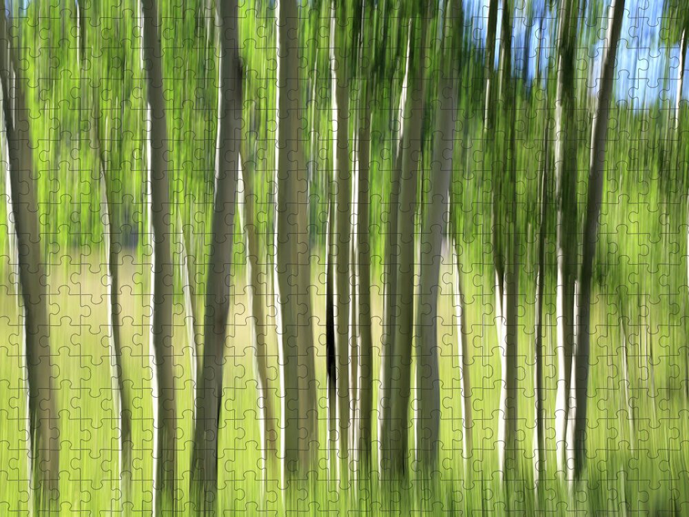 Aspen Grove Jigsaw Puzzle featuring the photograph Aspen Abstract 2 by Donna Kennedy