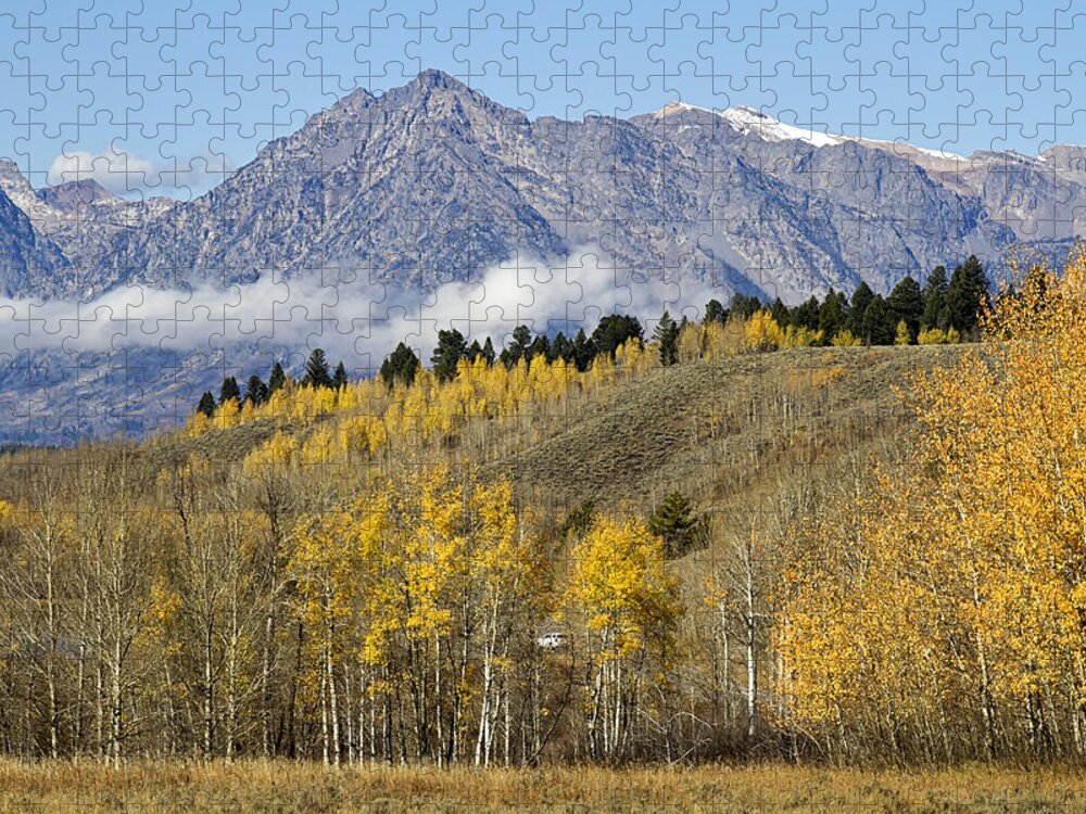 Tetons Jigsaw Puzzle featuring the photograph Aspen colours by Shirley Mitchell