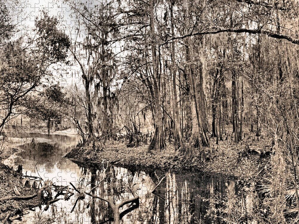 Swamp Jigsaw Puzzle featuring the photograph At Swamps Edge by Kristin Elmquist