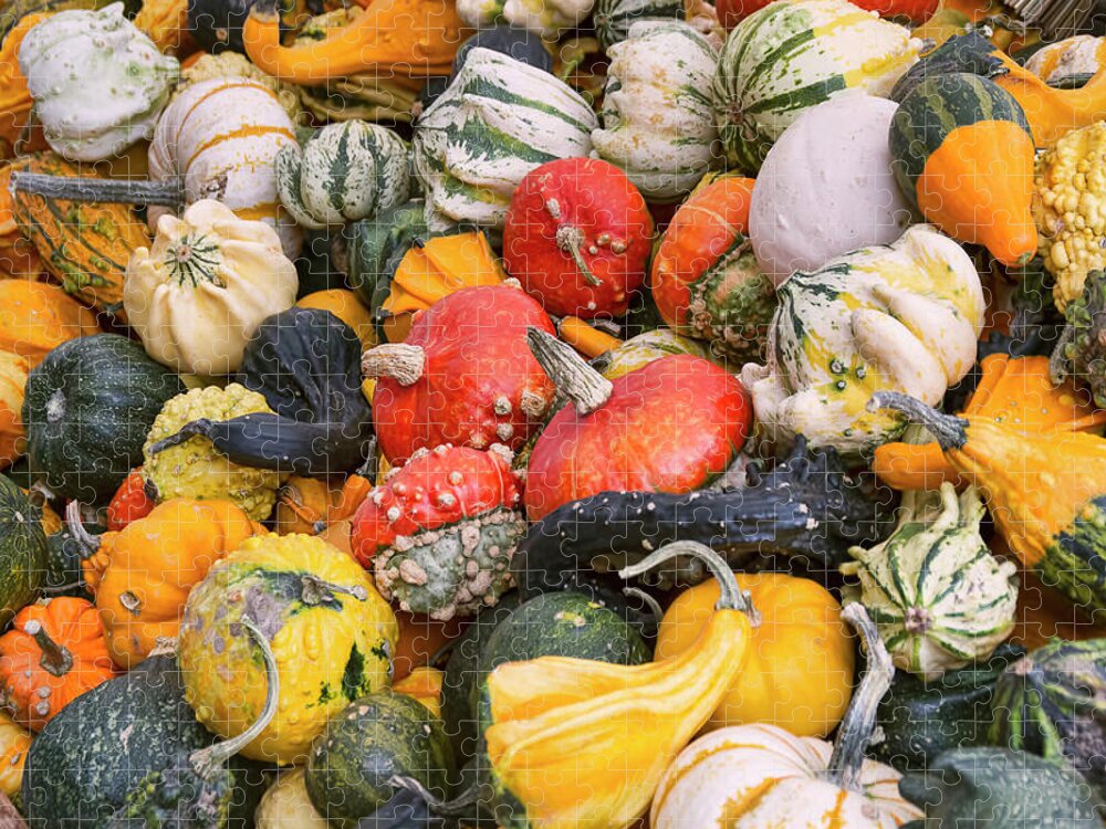 Gourds Jigsaw Puzzle featuring the photograph At the Farmers Market - Squash and Pumpkins by Peggy Collins