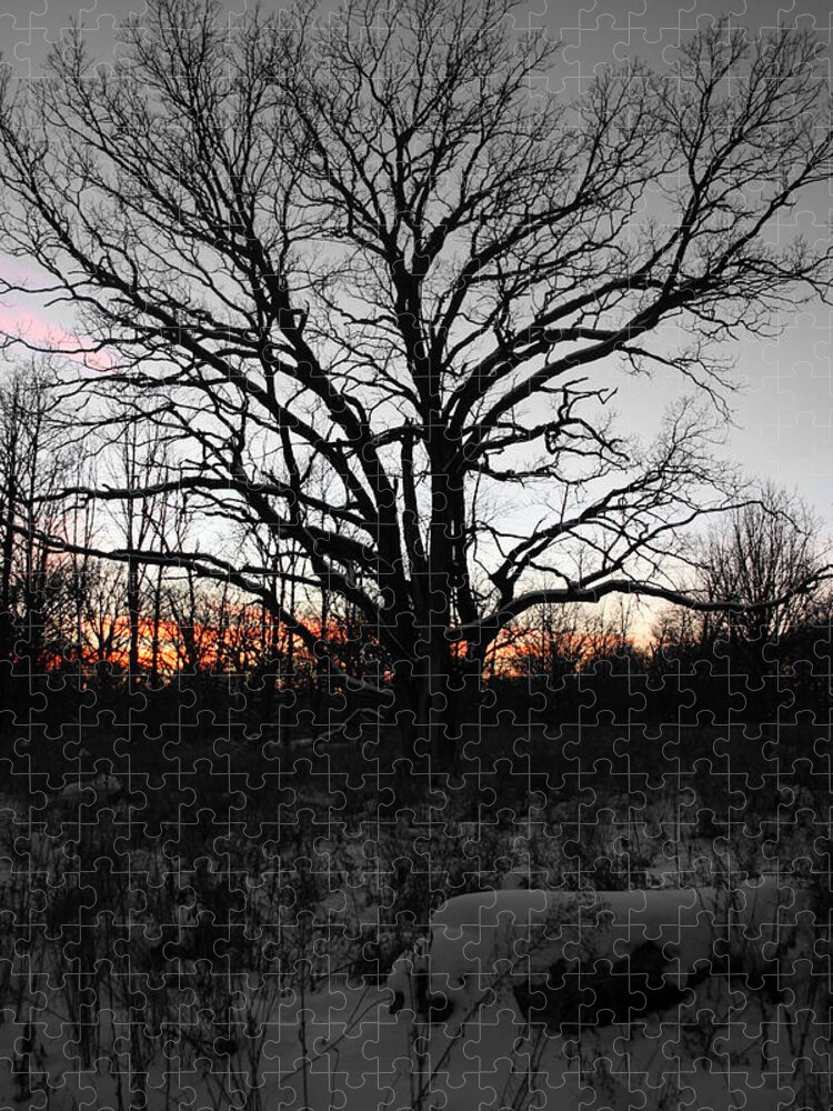 Color Desaturation Jigsaw Puzzle featuring the photograph Aura by Dylan Punke