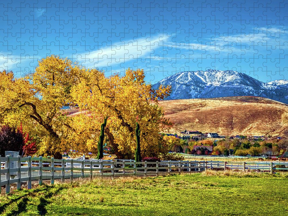 Autumn Jigsaw Puzzle featuring the photograph Autum Pasture by Maria Coulson