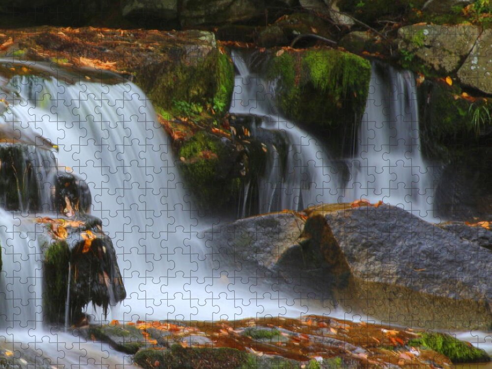 Autumn At Jackson Falls Jigsaw Puzzle featuring the photograph Autumn at Jackson Falls by Suzanne DeGeorge