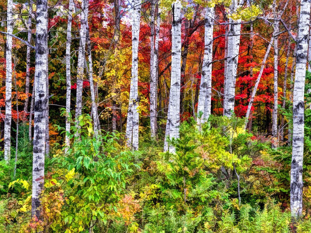 Birch Jigsaw Puzzle featuring the painting Autumn Birches by Christopher Arndt