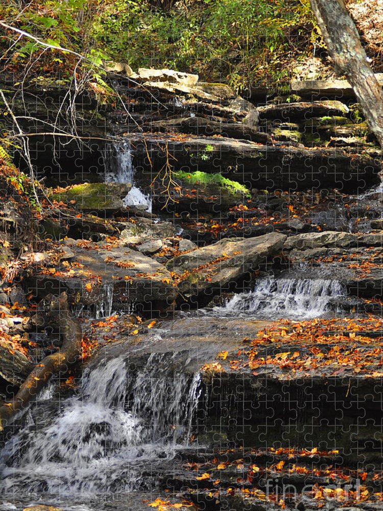 Diane Berry Jigsaw Puzzle featuring the photograph Autumn Brook by Diane E Berry