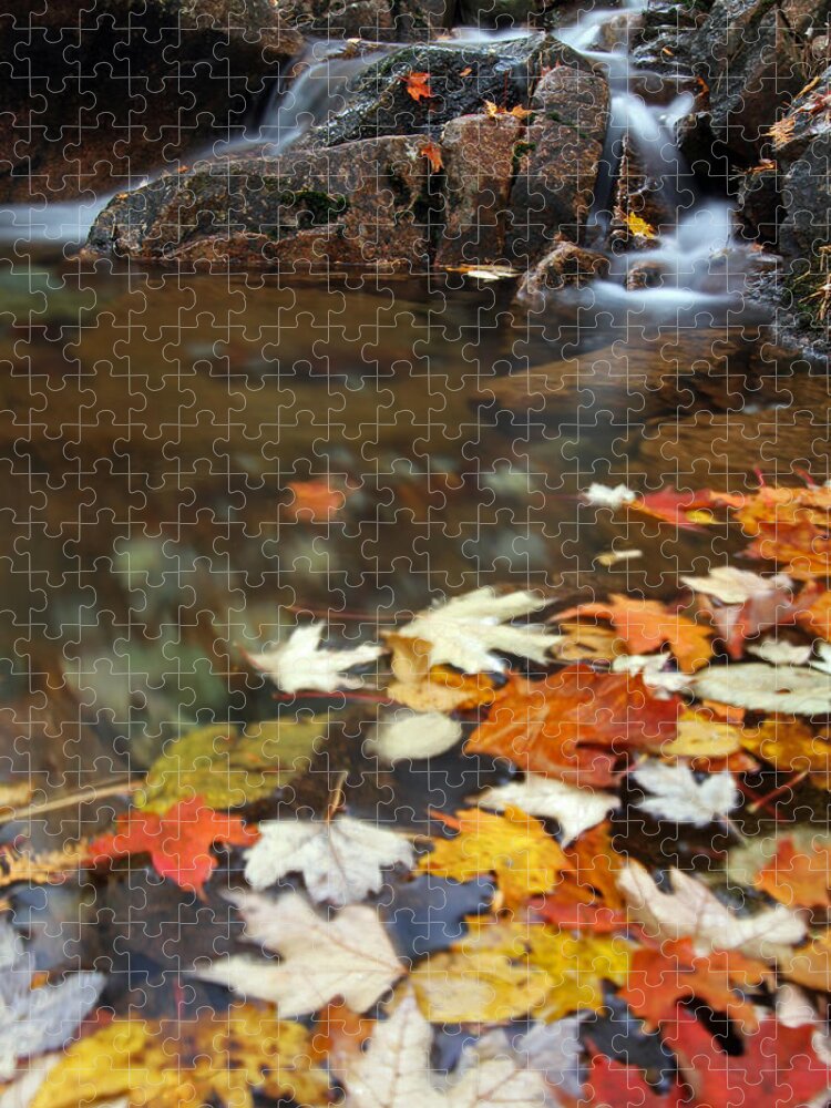 Autumn Jigsaw Puzzle featuring the photograph Autumn Cascade by Juergen Roth