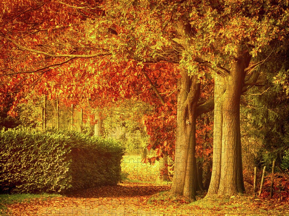 Autumn Jigsaw Puzzle featuring the photograph Autumn Colors by Wim Lanclus