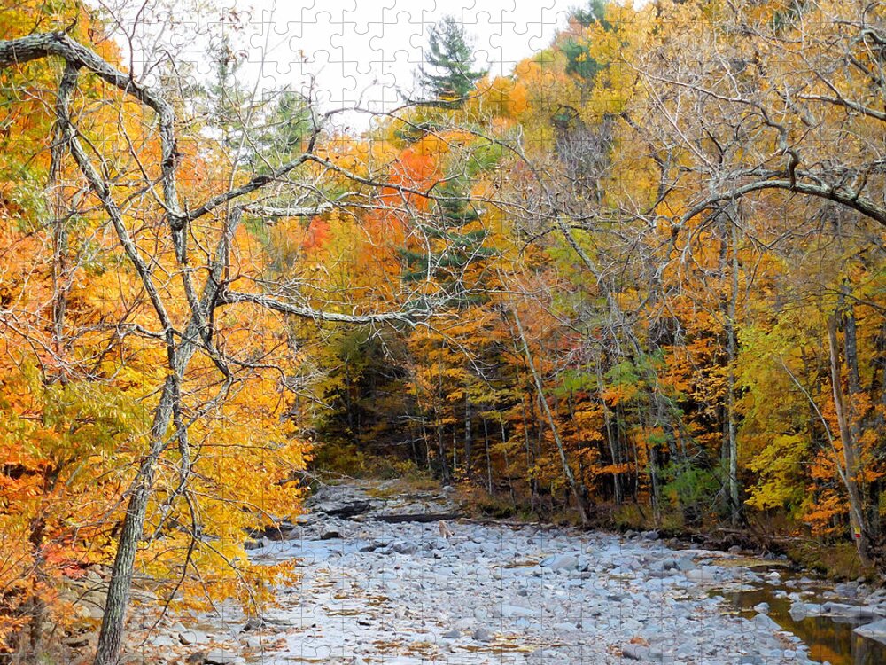 Autumn Creek Jigsaw Puzzle featuring the painting Autumn creek 10 by Jeelan Clark