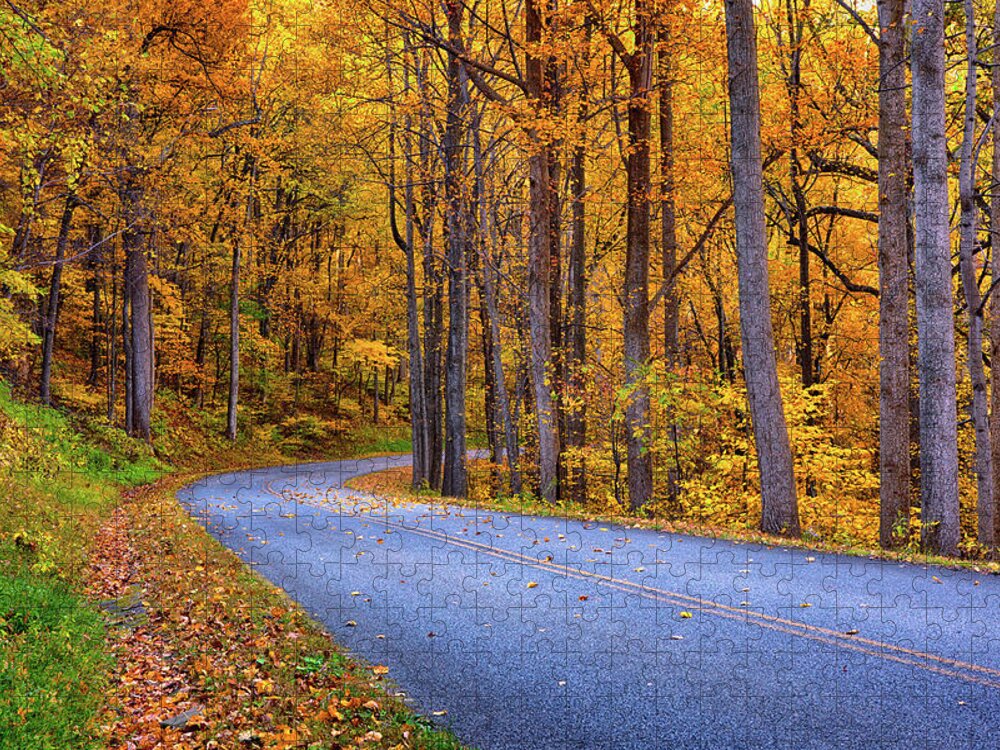 Autumn Jigsaw Puzzle featuring the photograph Autumn Fall Colors - Around the Bend by Dan Carmichael