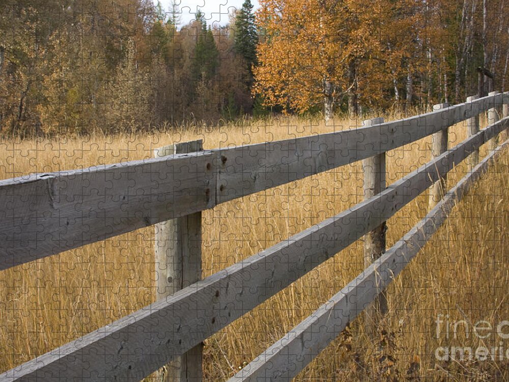 Grass Jigsaw Puzzle featuring the photograph Autumn Fence by Idaho Scenic Images Linda Lantzy