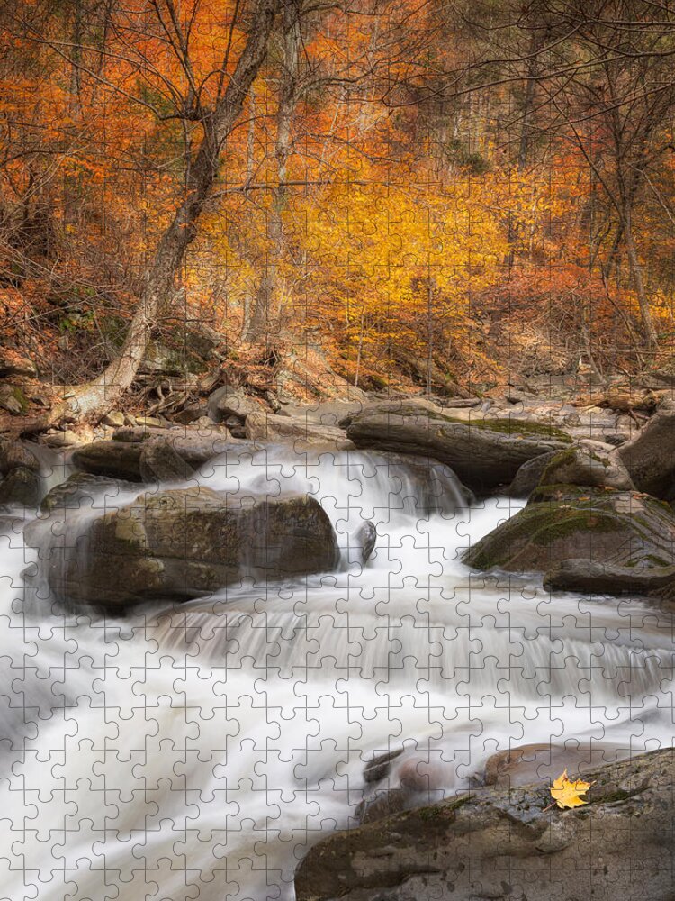 Autumn Jigsaw Puzzle featuring the photograph Autumn Fire by Bill Wakeley