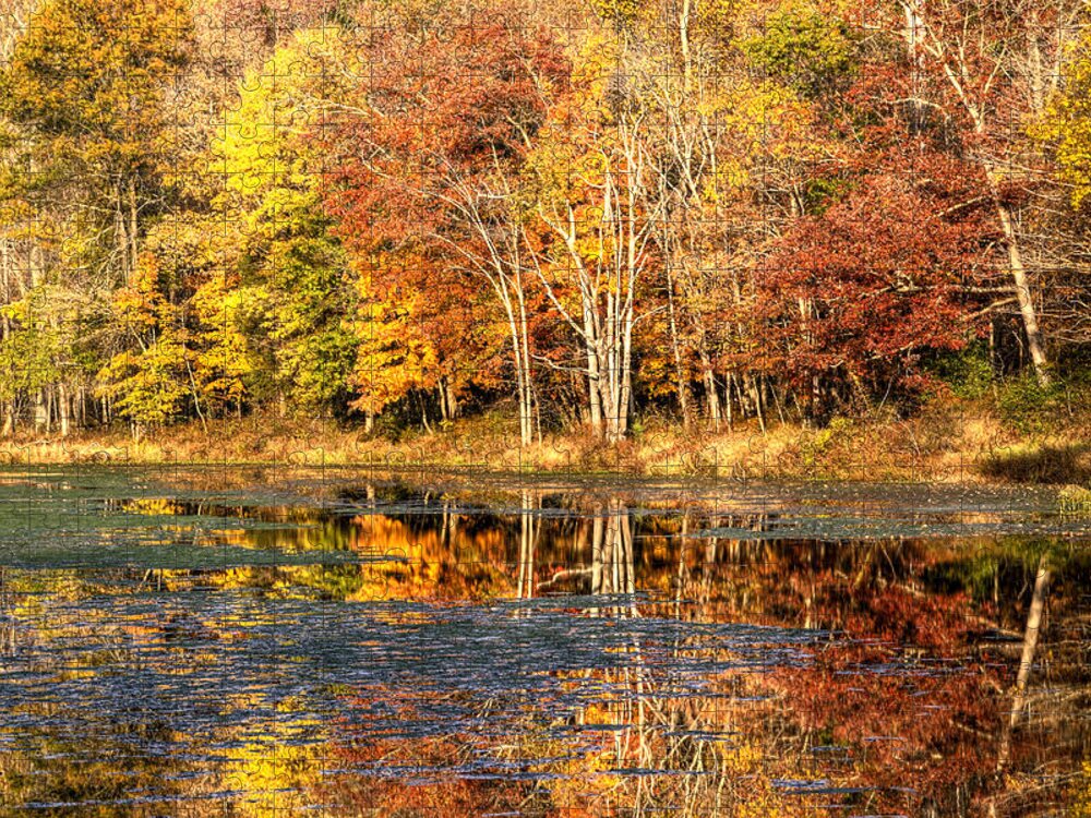 Autumn Jigsaw Puzzle featuring the photograph Autumn Foliage at White's Mill Preserve by Carol Senske
