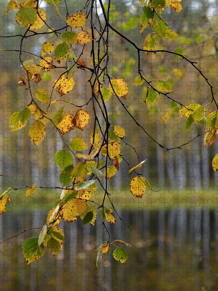 Lehtokukka Jigsaw Puzzle featuring the photograph Autumn by Jouko Lehto