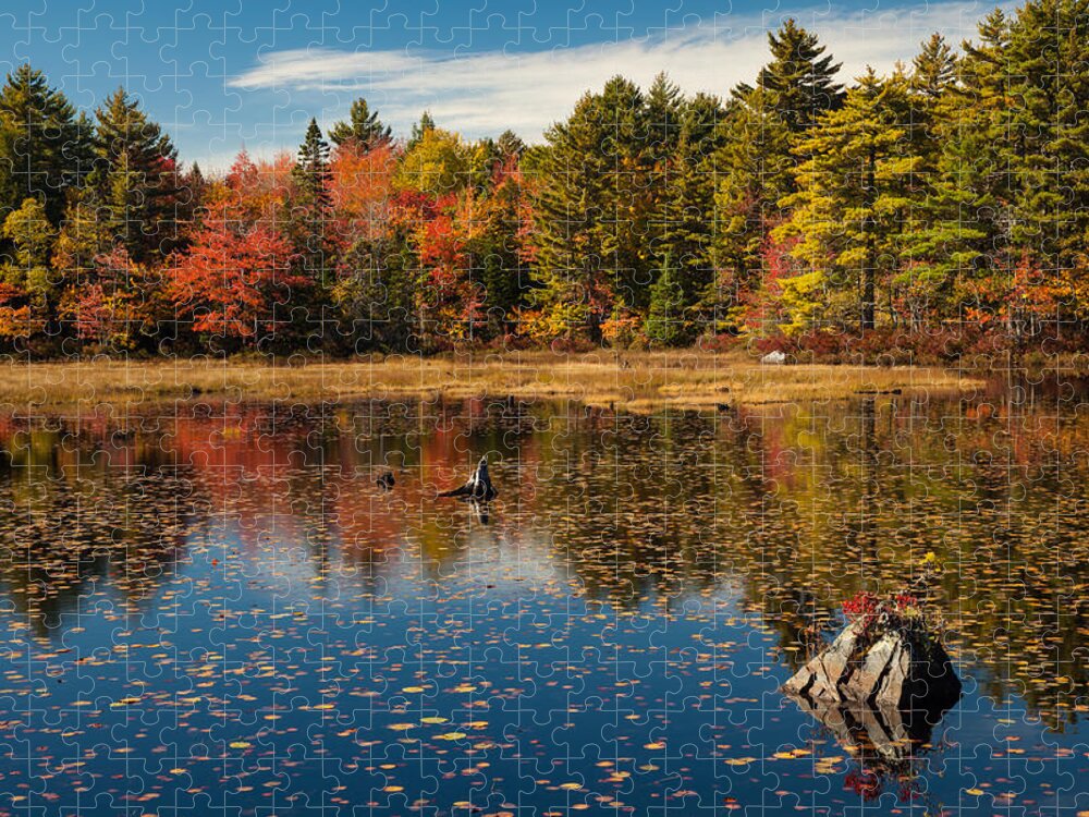 Autumn Jigsaw Puzzle featuring the photograph Autumn Lake Reflections by Irwin Barrett