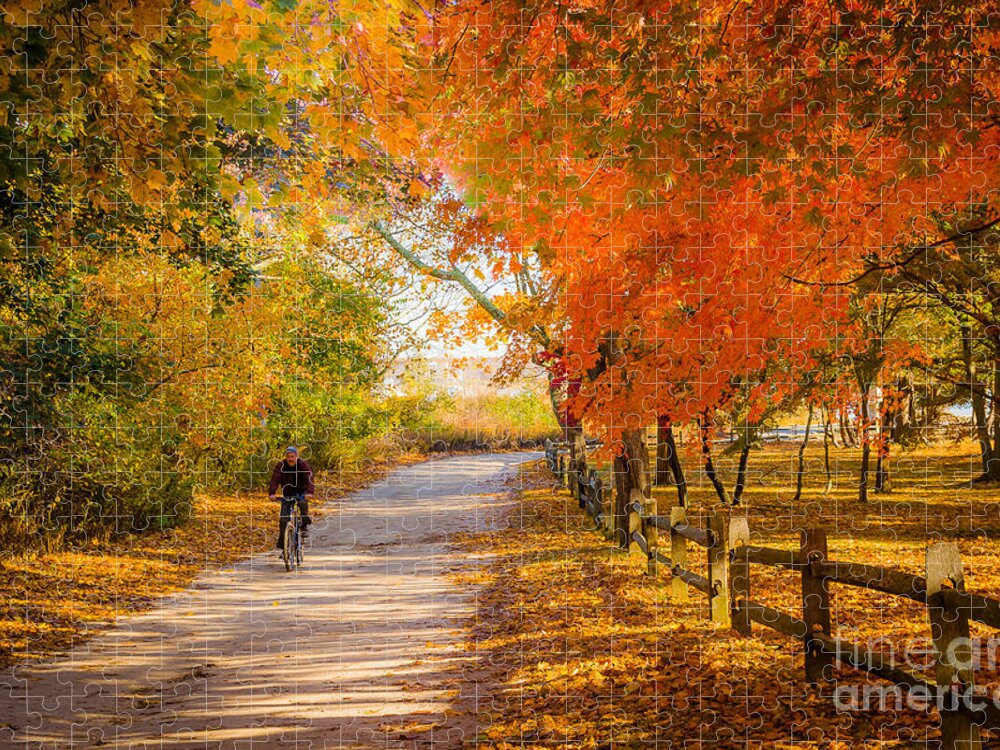 Bike Jigsaw Puzzle featuring the photograph Autumn Path by Alissa Beth Photography
