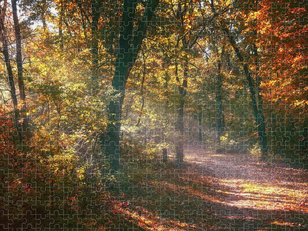 Autumn Jigsaw Puzzle featuring the photograph Autumn Path by Scott Norris