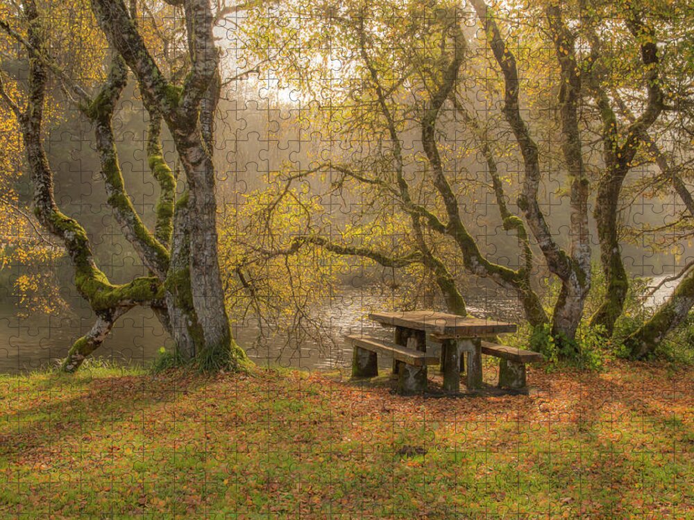 Autumn Jigsaw Puzzle featuring the photograph Autumn Picnic 0687 by Kristina Rinell