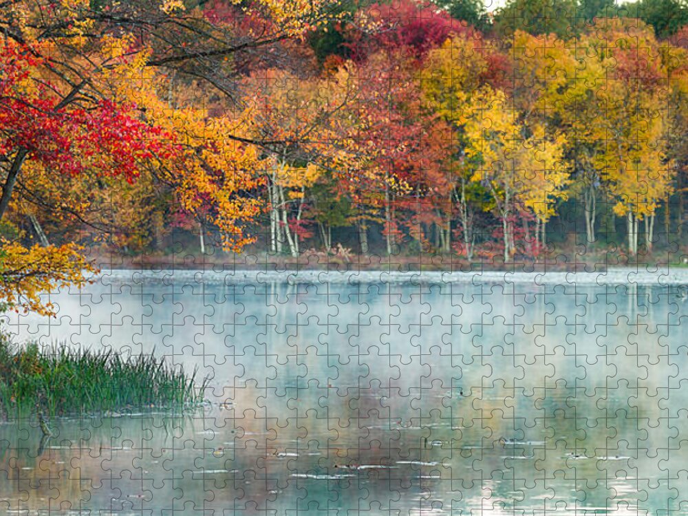 Landscape Jigsaw Puzzle featuring the photograph Autumn Pond by Brian Caldwell