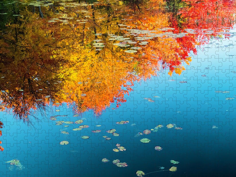 Intimate Landscape Jigsaw Puzzle featuring the photograph Autumn Reflections by John Roach