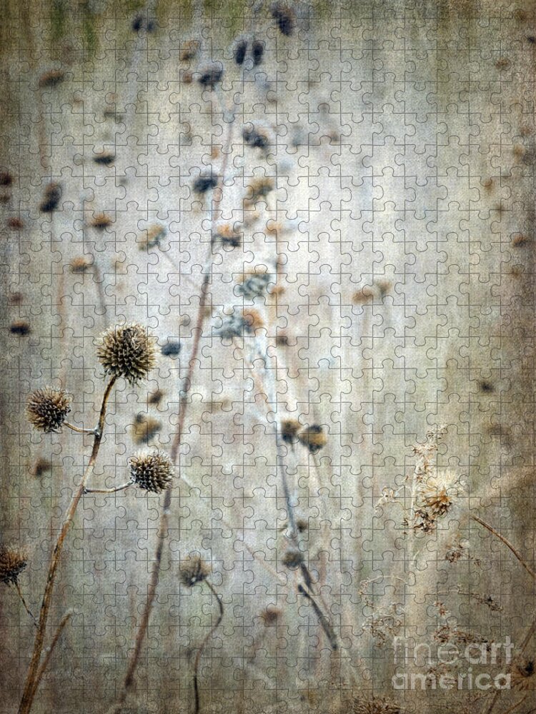 Autumn Jigsaw Puzzle featuring the photograph Autumn Seed Heads VI by Tamara Becker