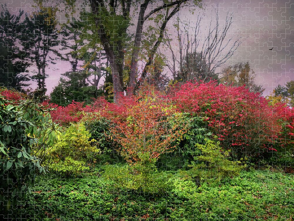 Nature Jigsaw Puzzle featuring the photograph Autumn Settling In by Diana Angstadt