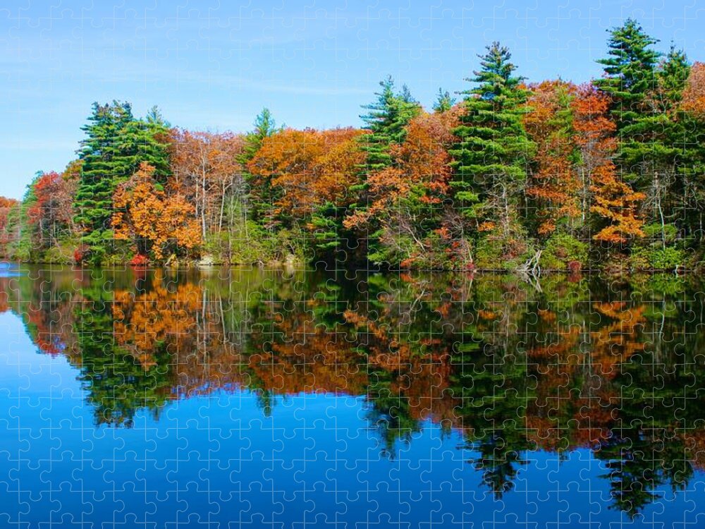  Jigsaw Puzzle featuring the photograph Autumn Silence at Huntington by Polly Castor