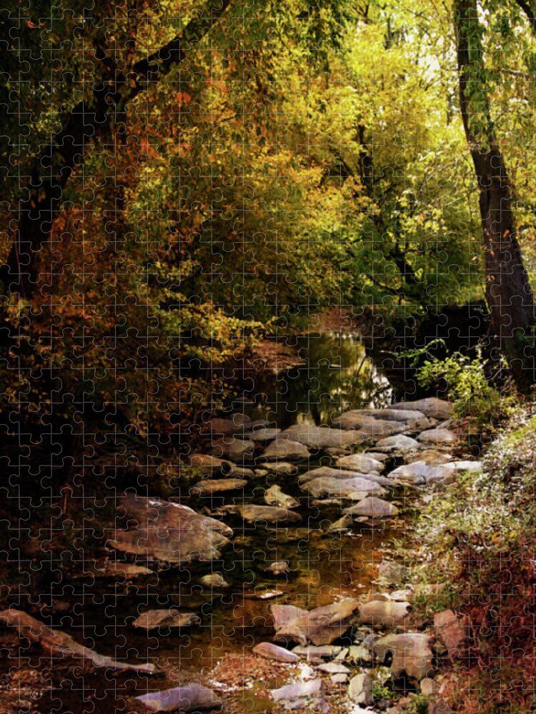 Autumn Stream Jigsaw Puzzle featuring the photograph Autumn Stream 6163 H_2 by Steven Ward