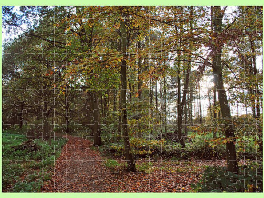 Triptych Jigsaw Puzzle featuring the photograph Autumn Triptych by Terence Davis