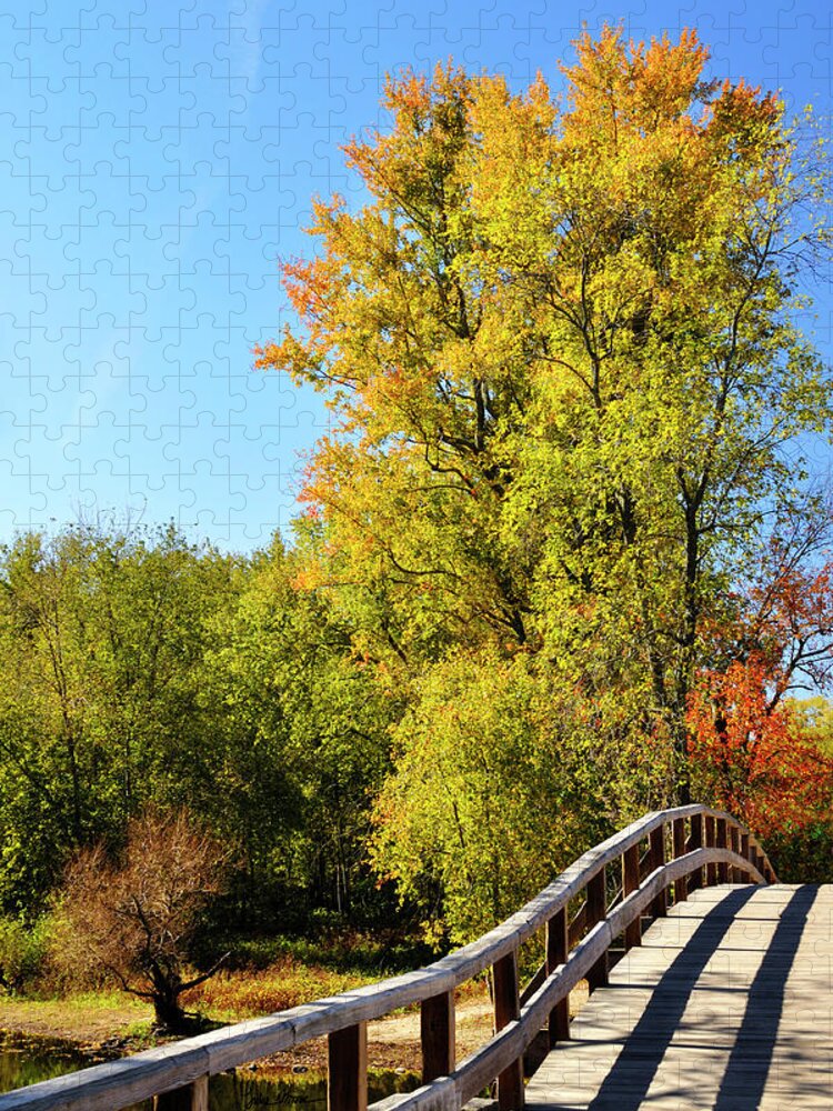 Autumn Jigsaw Puzzle featuring the photograph Autumnal North Bridge by Luke Moore