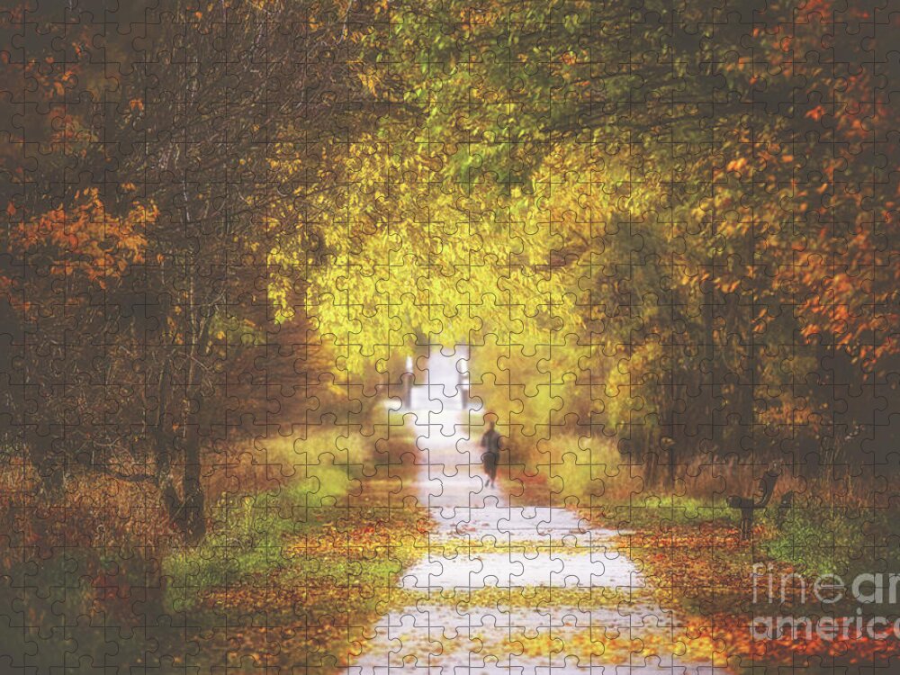 Trail Jigsaw Puzzle featuring the photograph Autumn's Path by Elizabeth Winter