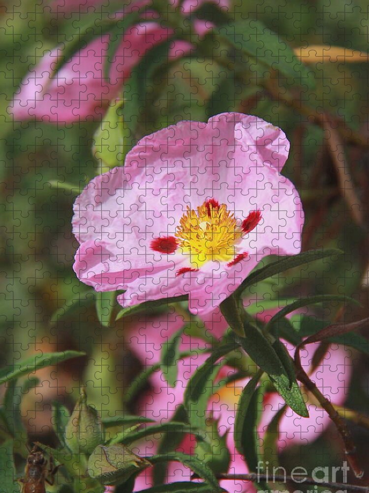 Flower Jigsaw Puzzle featuring the photograph Awaiting the Bee by Suzanne Oesterling