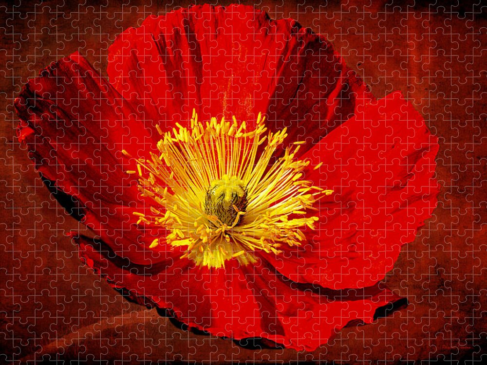 Poppy Jigsaw Puzzle featuring the photograph Awake To Red by Phyllis Denton