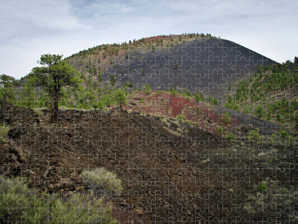 Arizona Jigsaw Puzzle featuring the photograph AZ Landscape from Lava Trail No. 3 by David Gordon
