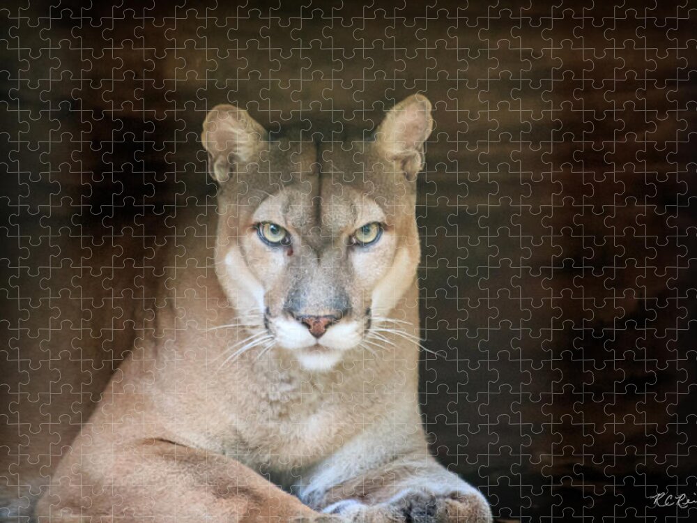 Florida Jigsaw Puzzle featuring the photograph Babcock Wilderness Ranch - Portrait of Oceola the Panther by Ronald Reid