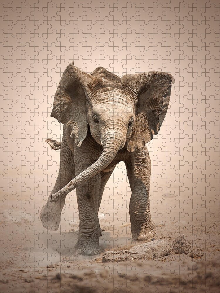 Elephant Jigsaw Puzzle featuring the photograph Baby Elephant mock charging by Johan Swanepoel