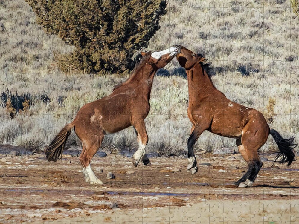 Stallions Jigsaw Puzzle featuring the photograph Bachelor Stallions Practicing the Art of Fighting, No. 2 by Belinda Greb