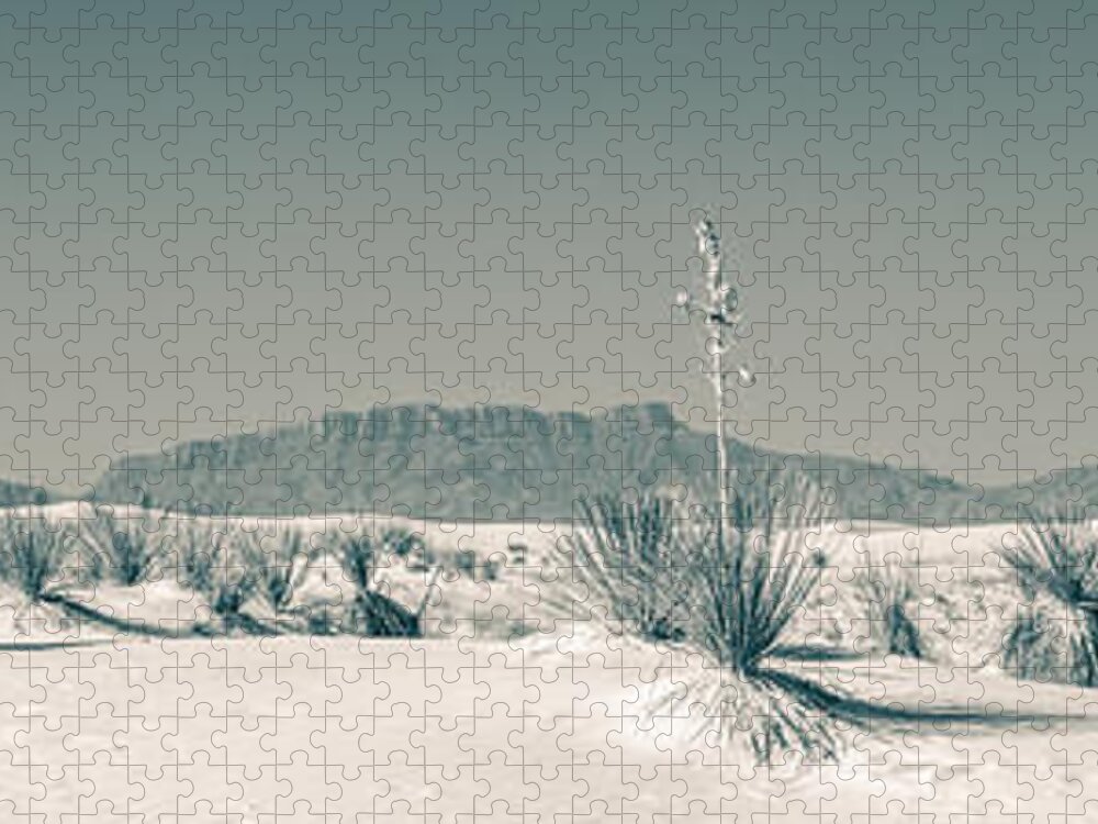 Desert Jigsaw Puzzle featuring the photograph Back Country by Racheal Christian