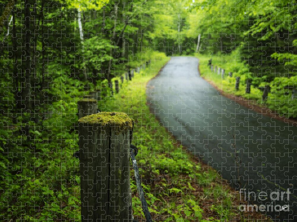 Road Jigsaw Puzzle featuring the photograph Back Road by Alana Ranney