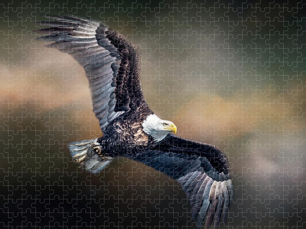 Bald Eagle Jigsaw Puzzle featuring the photograph Bald Eagle With Clouds by Paul Freidlund